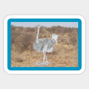 Nandu Ostrich Sticker